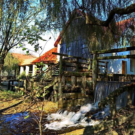 Pensiunea Moara Lu Antone Orastioara de Sus Exterior foto